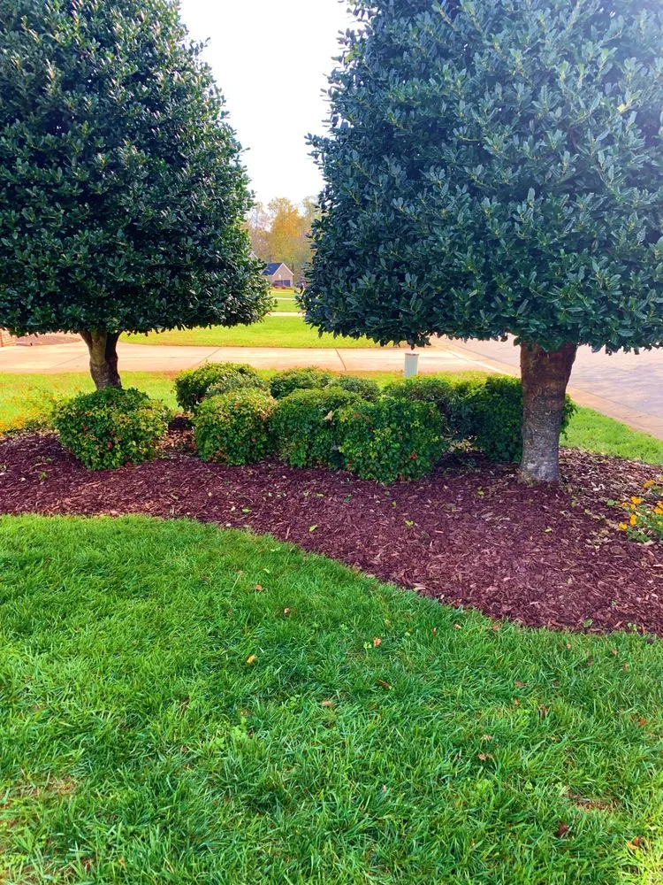 Professional residential landscaping experts serving Elon, NC - May Farm Enterprises