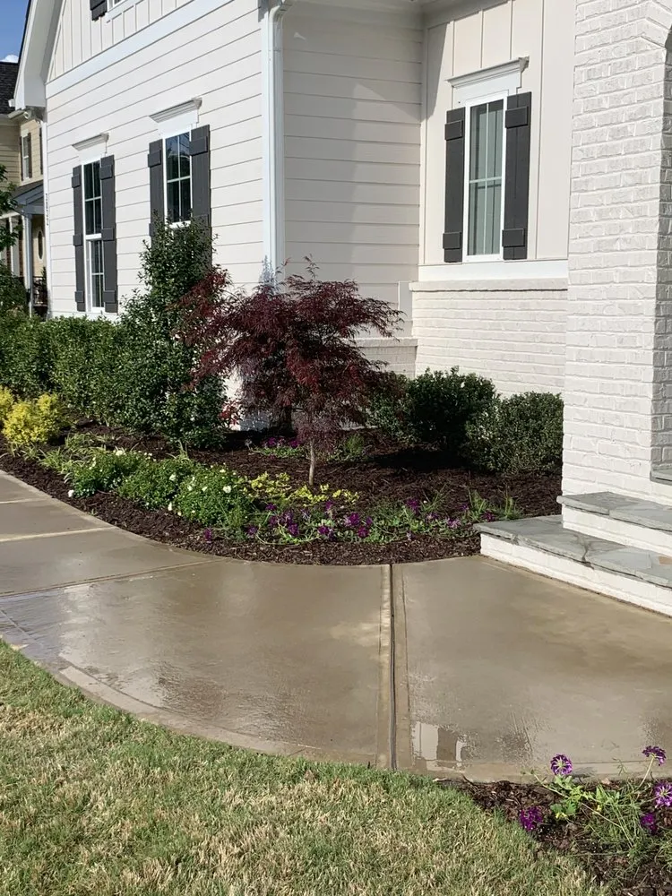 Trusted yard cleanup service experts serving Elon, NC - May Farm Enterprises