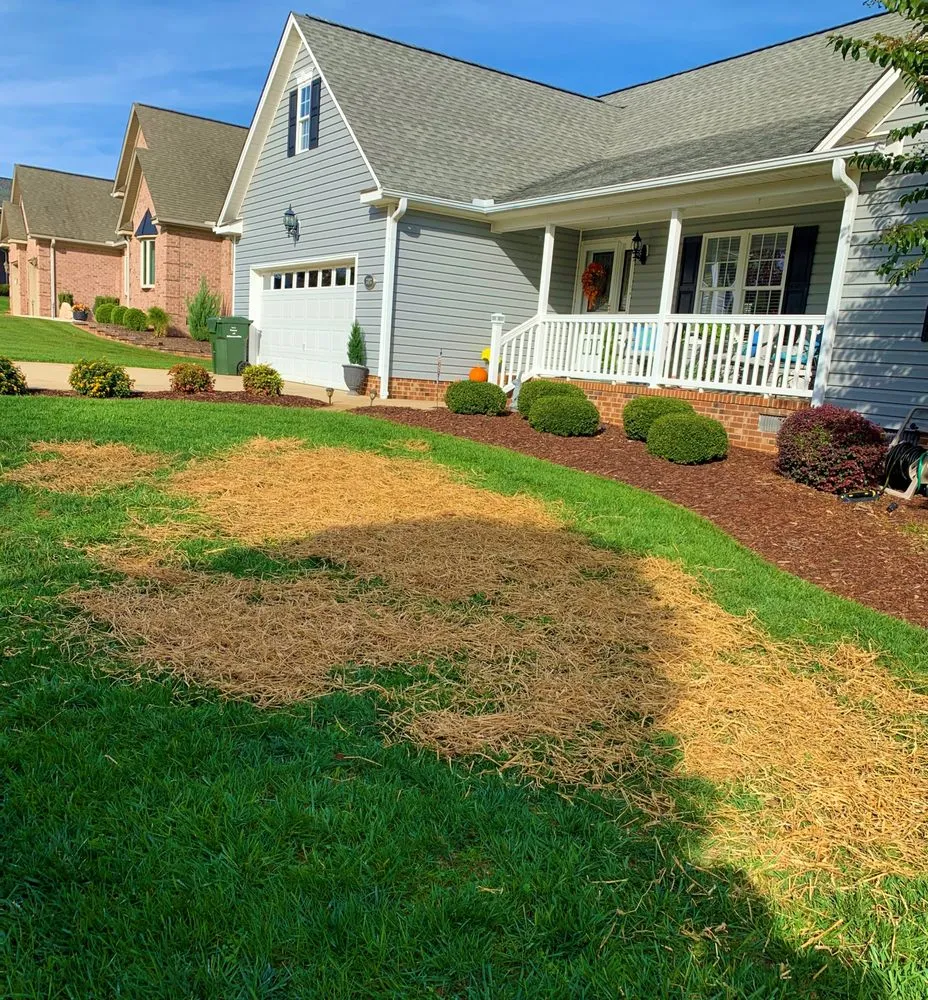 Local lawn care service experts serving Elon, NC - May Farm Enterprises