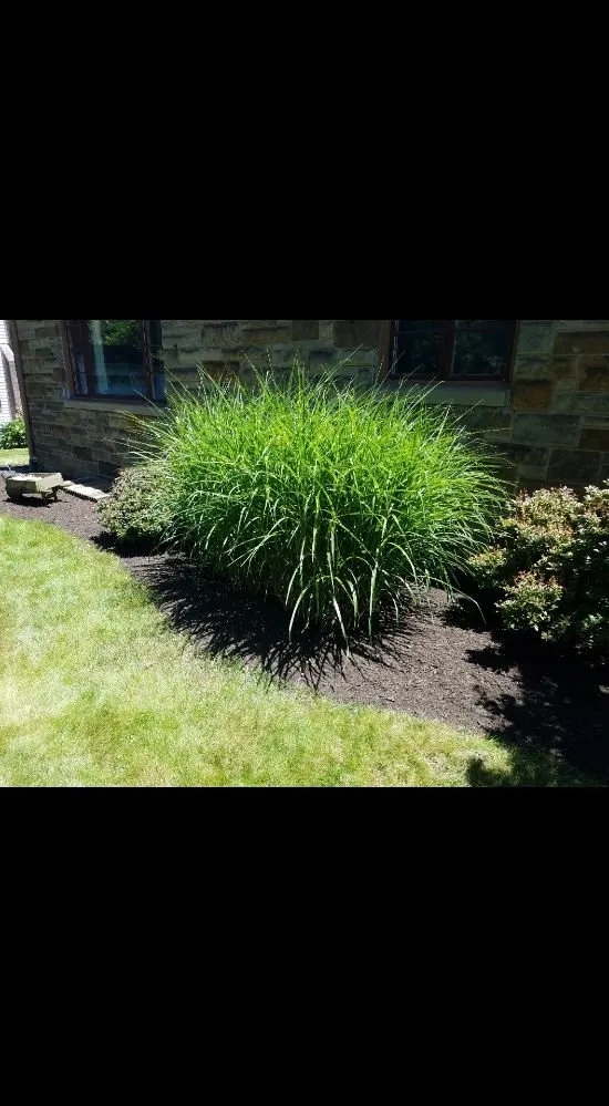 Custom landscape installation in North Canton, OH by May I Help You? Landscapes & Lawn Care