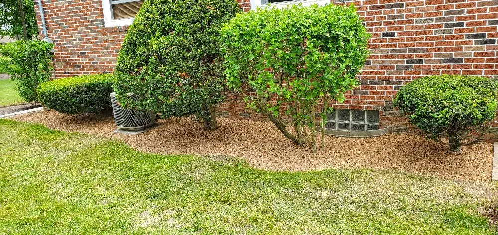 Trusted yard cleanup service in North Canton, OH by May I Help You? Landscapes & Lawn Care
