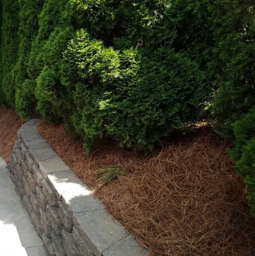Top-rated landscape installation experts serving North Canton, OH - May I Help You? Landscapes & Lawn Care
