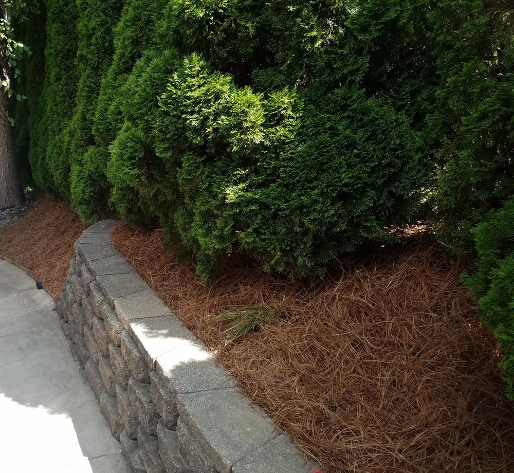 Affordable landscape installation for year-round maintenance across North Canton, OH - May I Help You? Landscapes & Lawn Care