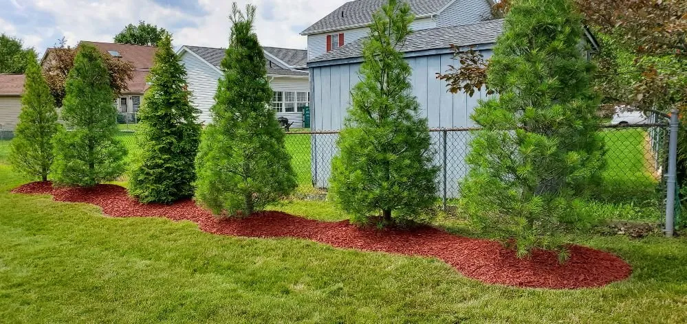 Custom landscape design for year-round maintenance across North Canton, OH - May I Help You? Landscapes & Lawn Care