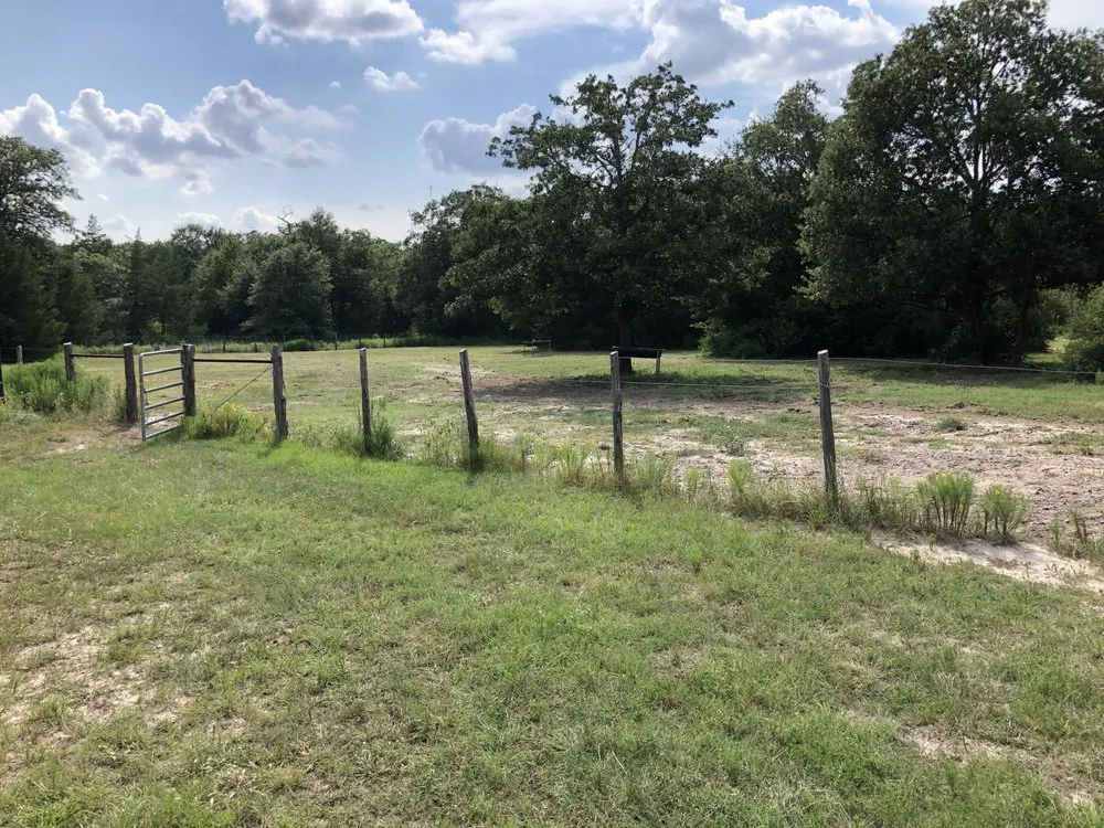 Custom yard maintenance experts serving Bryan, TX - May Landscaping