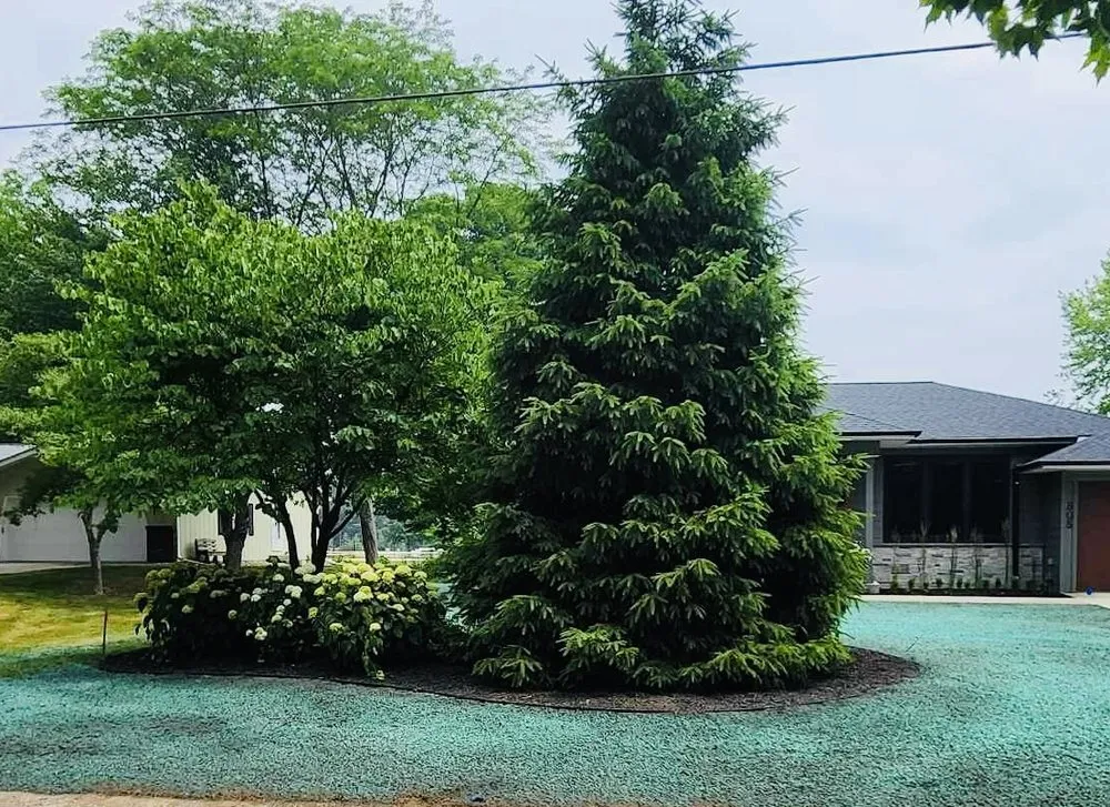 Top-rated yard cleanup service near you across Zeeland, MI - May Landscaping