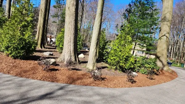 May Landscaping Logo