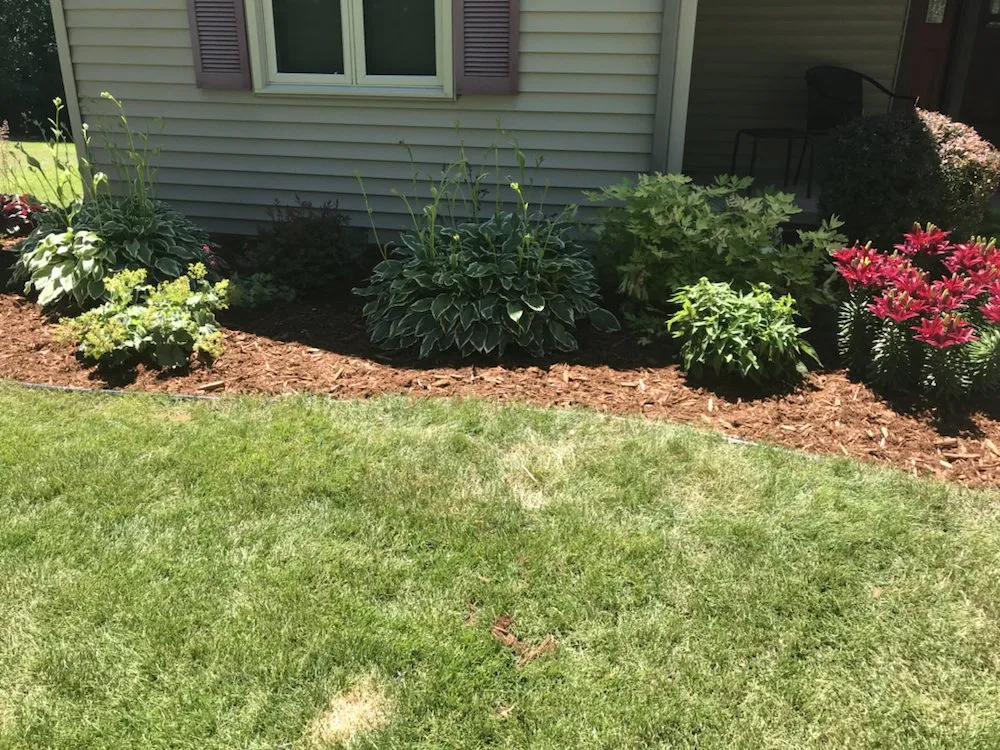 Local lawn care service near you in Beloit, WI by Maya-Bruns Landscaping