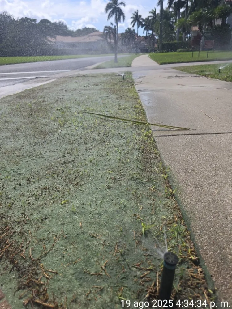 Custom yard maintenance for year-round maintenance in Lake Worth, FL by Maya Force Landscape Services