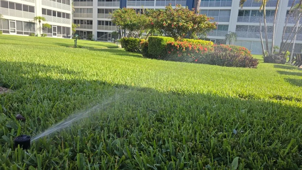 Local landscape installation in Lake Worth, FL by Maya Force Landscape Services