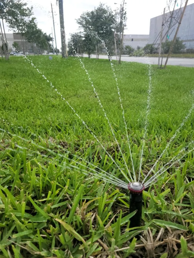 Affordable landscape design experts serving Lake Worth, FL - Maya Force Landscape Services