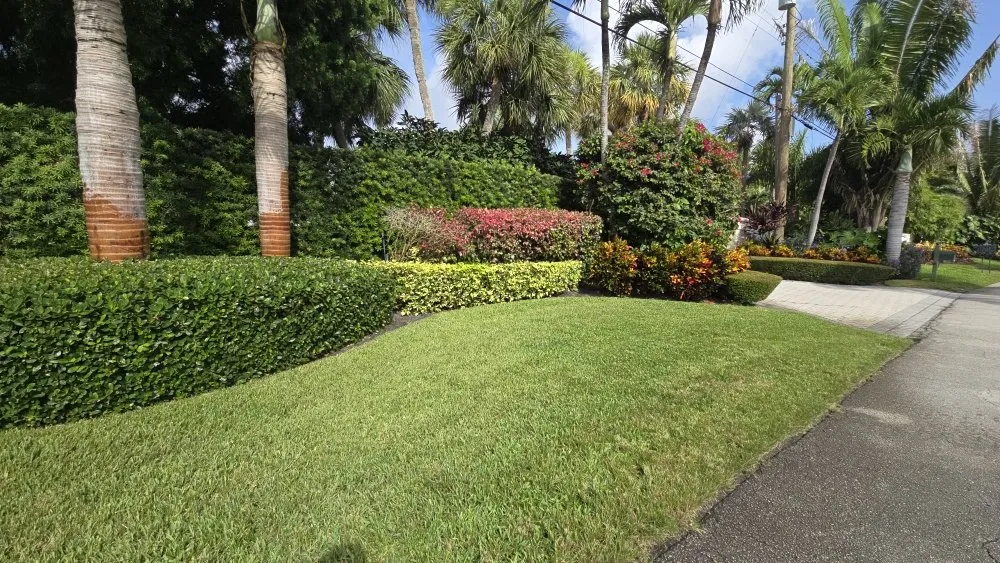 Local lawn care service for outdoor upgrades in Lake Worth, FL by Maya Force Landscape Services