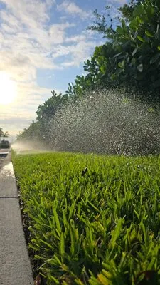 Maya Force Landscape Services Logo