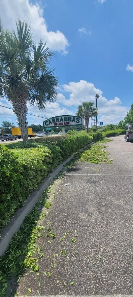 Professional lawn mowing service for year-round maintenance across Myrtle Beach, SC - Maya Lawn Care