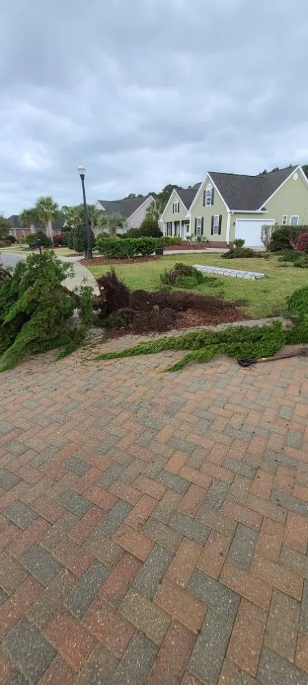 Local landscape installation near you in Myrtle Beach, SC by Maya Lawn Care
