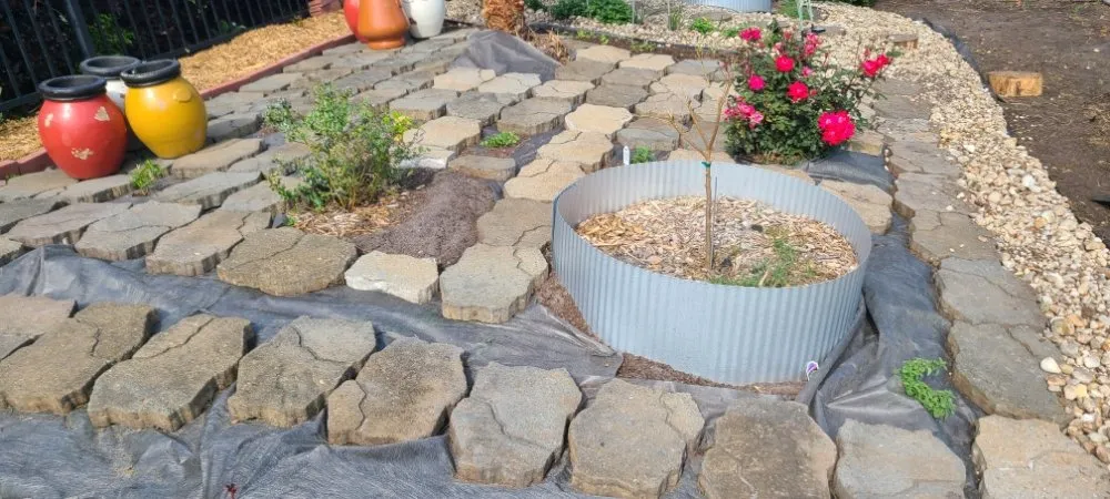 Expert landscaping services in Myrtle Beach, SC by Maya Lawn Care