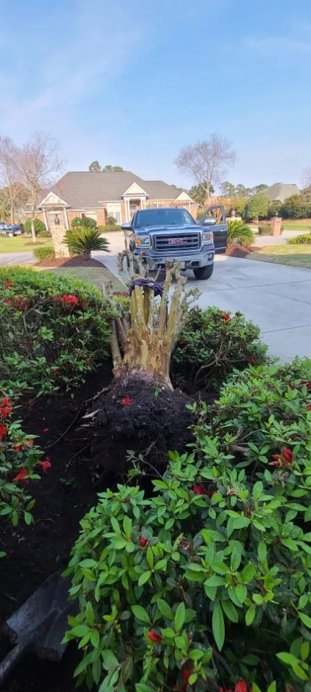 Trusted lawn care service for homes in Myrtle Beach, SC by Maya Lawn Care