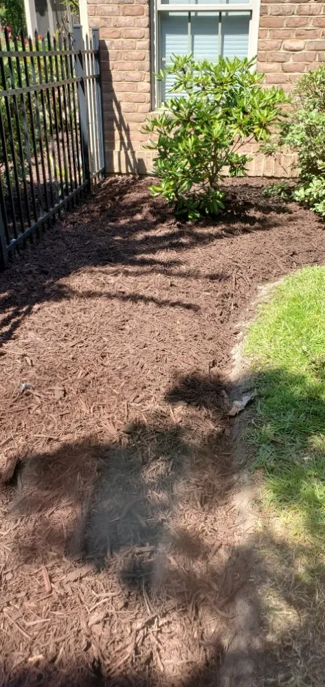 Trusted lawn mowing service near you in Myrtle Beach, SC by Maya Lawn Care