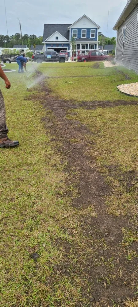 Professional lawn care service for year-round maintenance across Myrtle Beach, SC - Maya Lawn Care