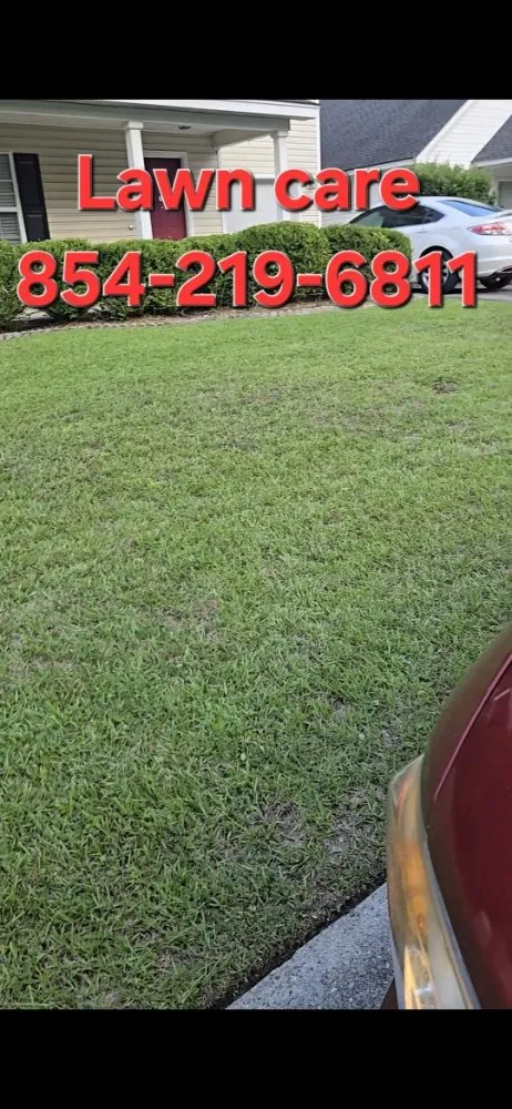 Professional lawn mowing service in Summerville, SC by Maya Lawn Care