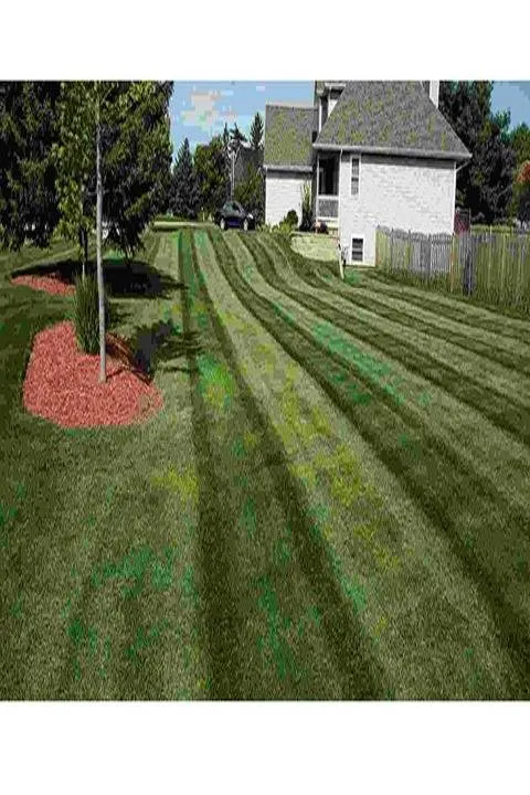 Expert outdoor landscaping in Harvard, IL - Maya Lawn Landscaping