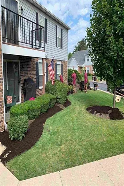 Expert yard cleanup service in Harvard, IL by Maya Lawn Landscaping