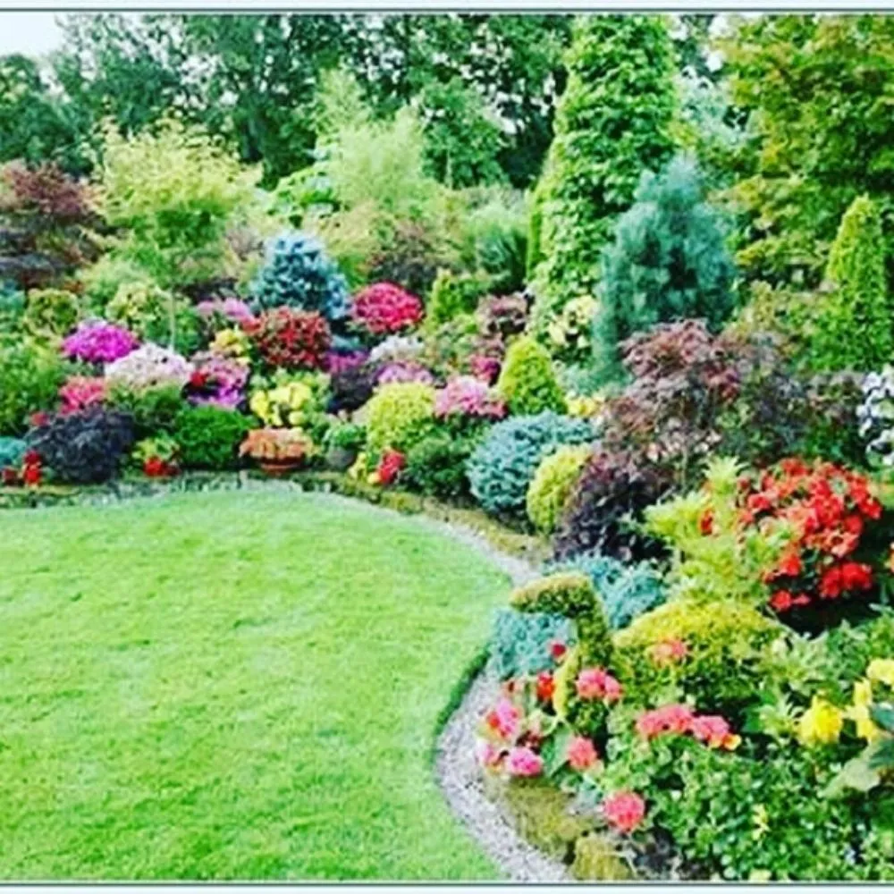 Top-rated yard cleanup service for homes across Gilbert, AZ - MayaCaribe Landscape Services