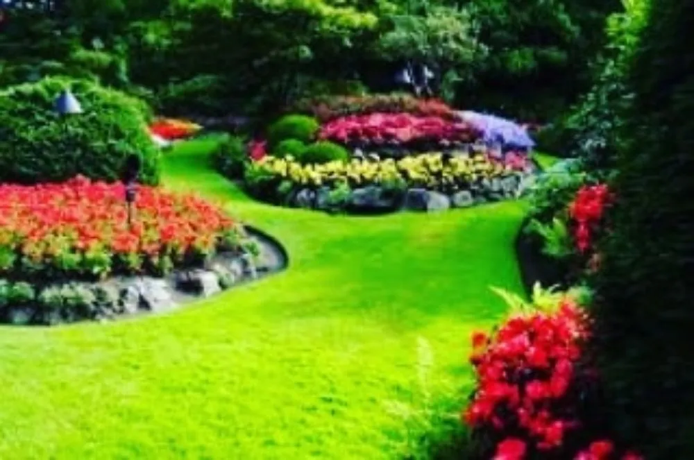 Top-rated lawn mowing service for outdoor upgrades in Gilbert, AZ by MayaCaribe Landscape Services