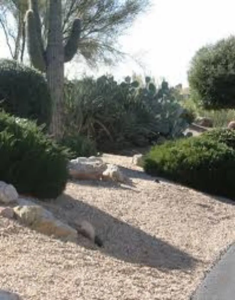 Reliable lawn mowing service for beautiful yards across Gilbert, AZ - MayaCaribe Landscape Services