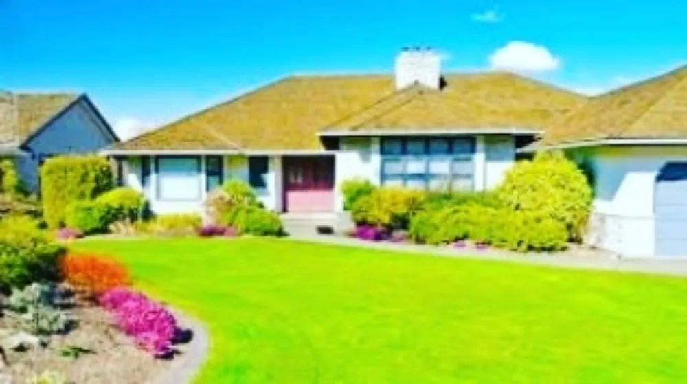 Reliable residential landscaping for outdoor upgrades across Gilbert, AZ - MayaCaribe Landscape Services