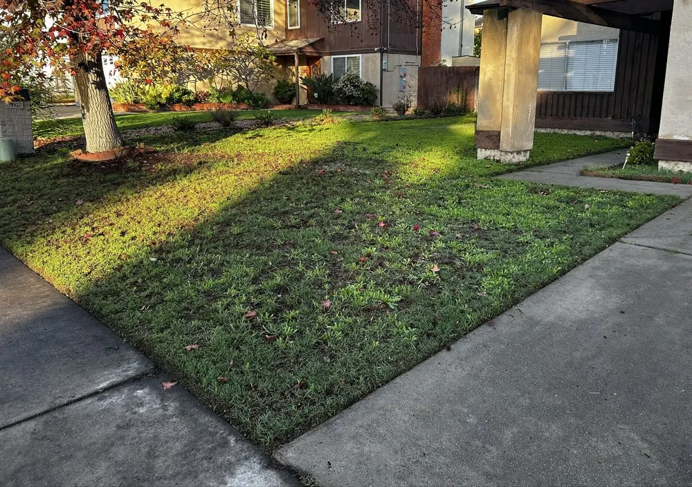 Expert yard cleanup service experts serving San Diego, CA - Mayan Environmental and Property Services