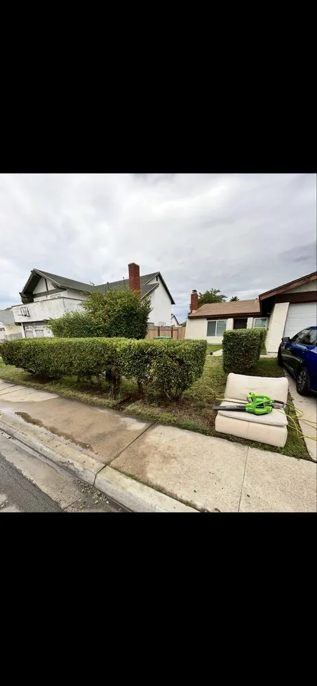 Top-rated landscape design in San Diego, CA by Mayan Environmental and Property Services