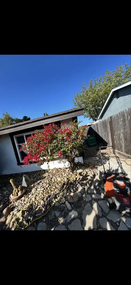 Top-rated garden landscaping for homes across San Diego, CA - Mayan Environmental and Property Services