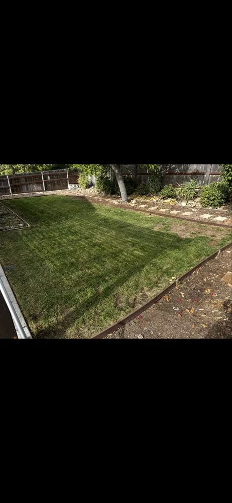 Local yard cleanup service in San Diego, CA - Mayan Environmental and Property Services