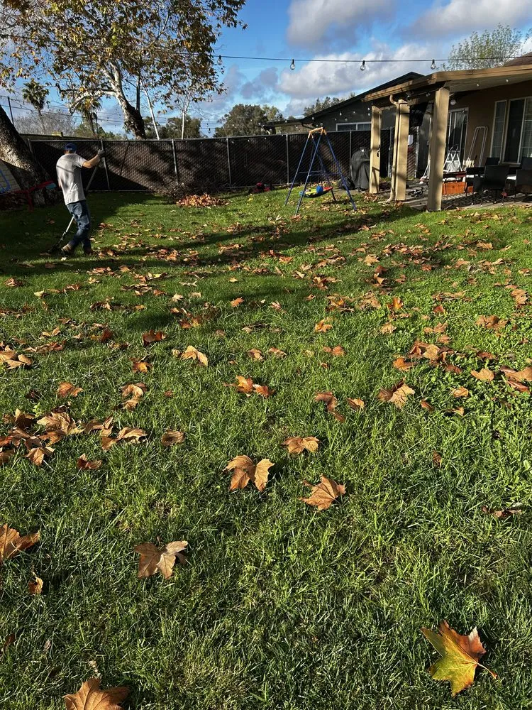 Professional residential landscaping experts serving San Diego, CA - Mayan Environmental and Property Services