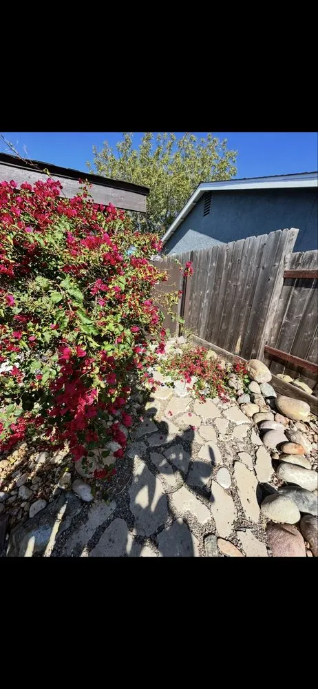 Trusted yard cleanup service in San Diego, CA by Mayan Environmental and Property Services