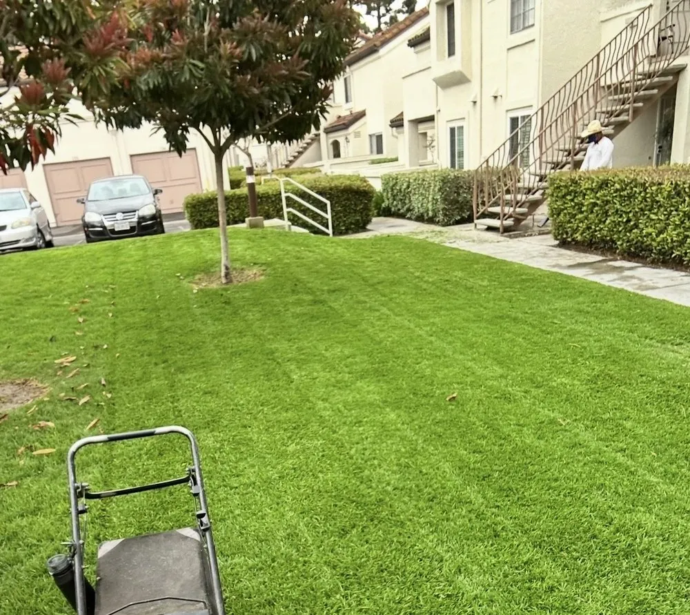 Trusted lawn care service in San Diego, CA by Mayan Environmental and Property Services
