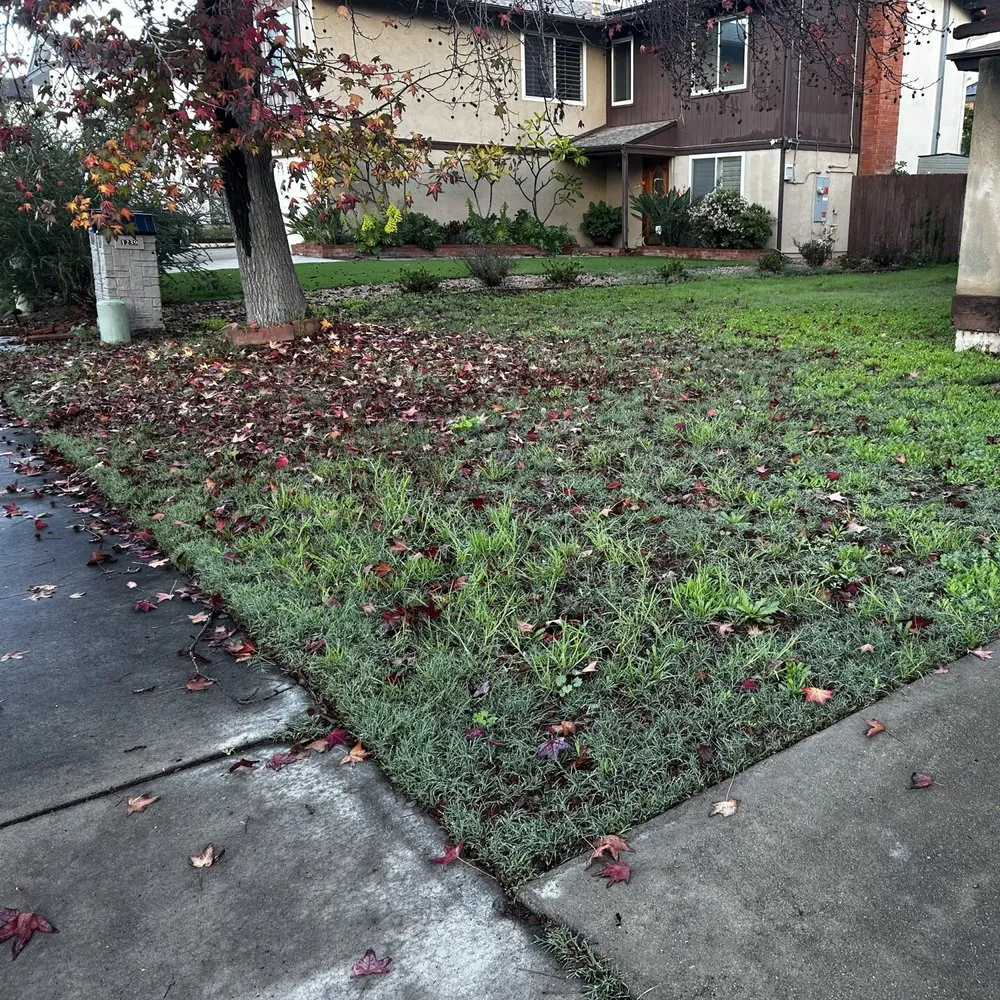 Custom lawn mowing service for homes in San Diego, CA by Mayan Environmental and Property Services