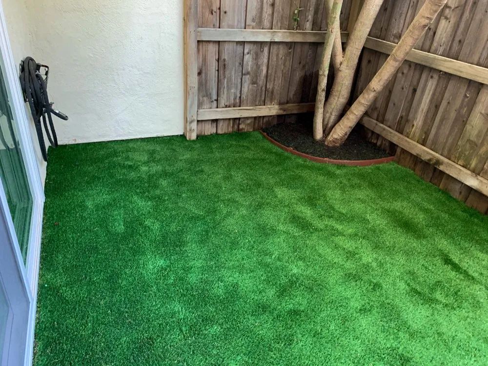 Professional yard cleanup service in Santa Barbara, CA - Mayan landscape Construction