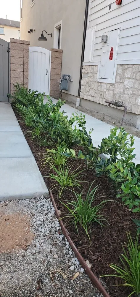 Affordable lawn mowing service in La Palma, CA - Mayan Landscaping