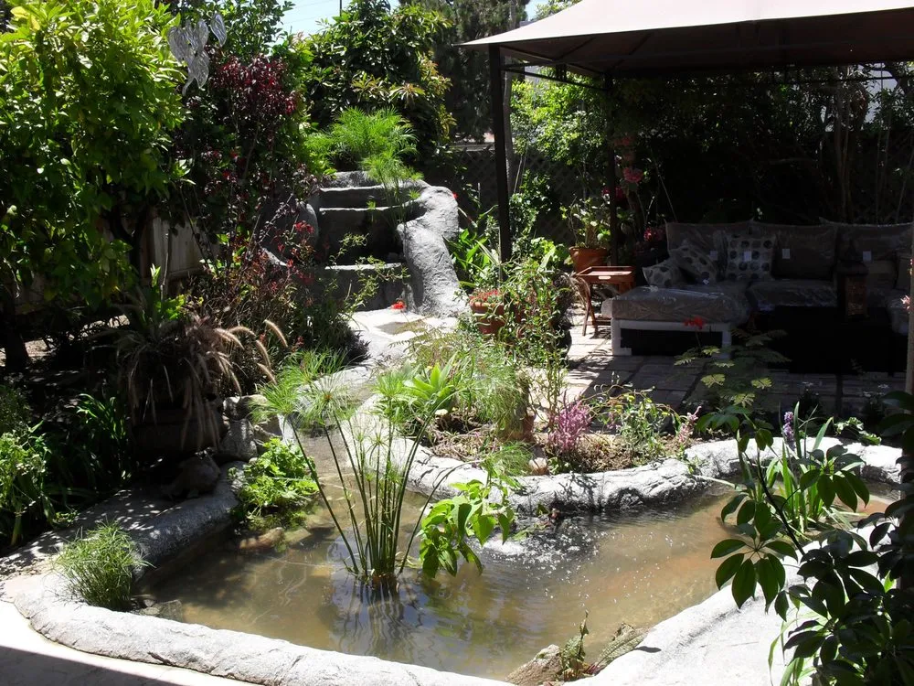 Custom yard cleanup service experts serving La Palma, CA - Mayan Landscaping