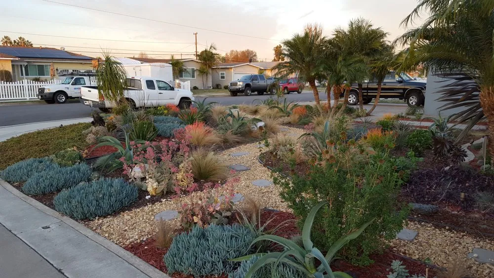 Custom yard maintenance experts serving La Palma, CA - Mayan Landscaping