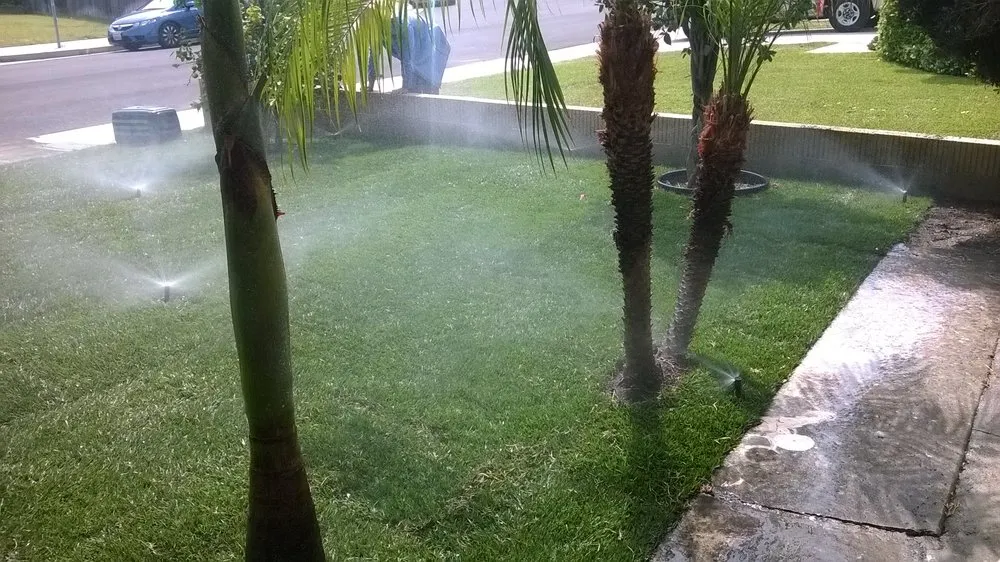 Top-rated yard cleanup service in La Palma, CA by Mayan Landscaping