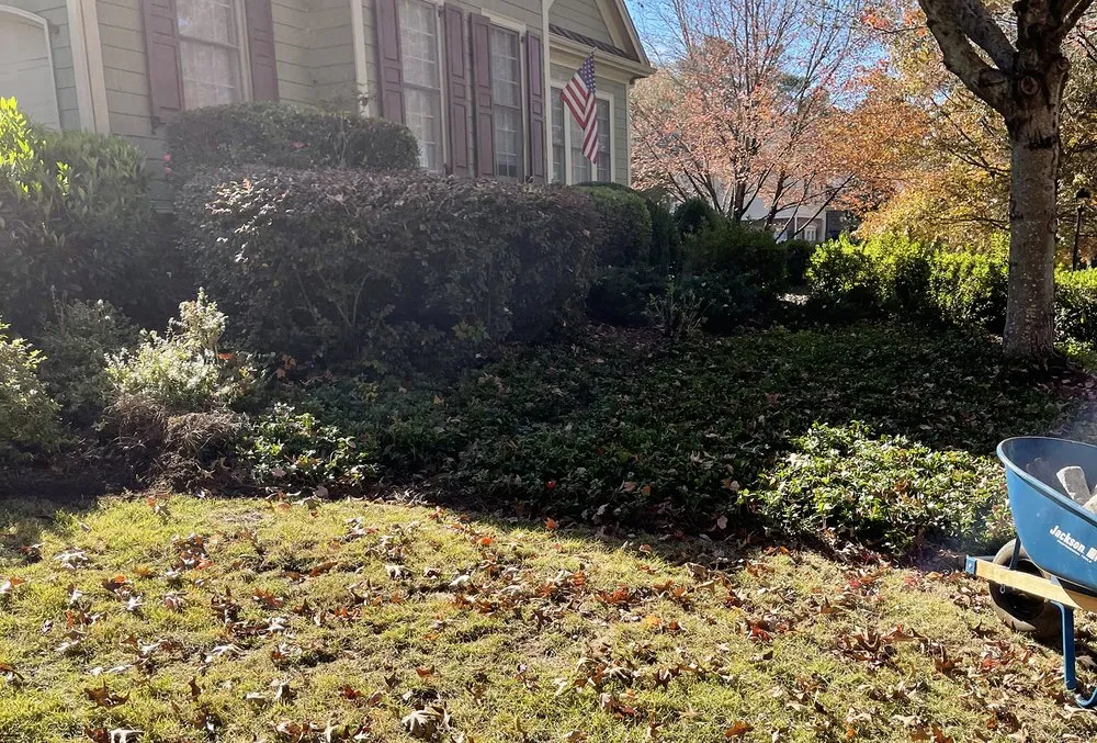 Professional garden landscaping for homes in Bethlehem, GA by Mayan Tree Services