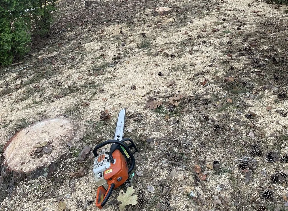 Expert residential landscaping experts serving Bethlehem, GA - Mayan Tree Services