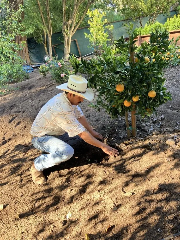 Local landscape installation for residential properties across Watsonville, CA - Maya's Enterprises
