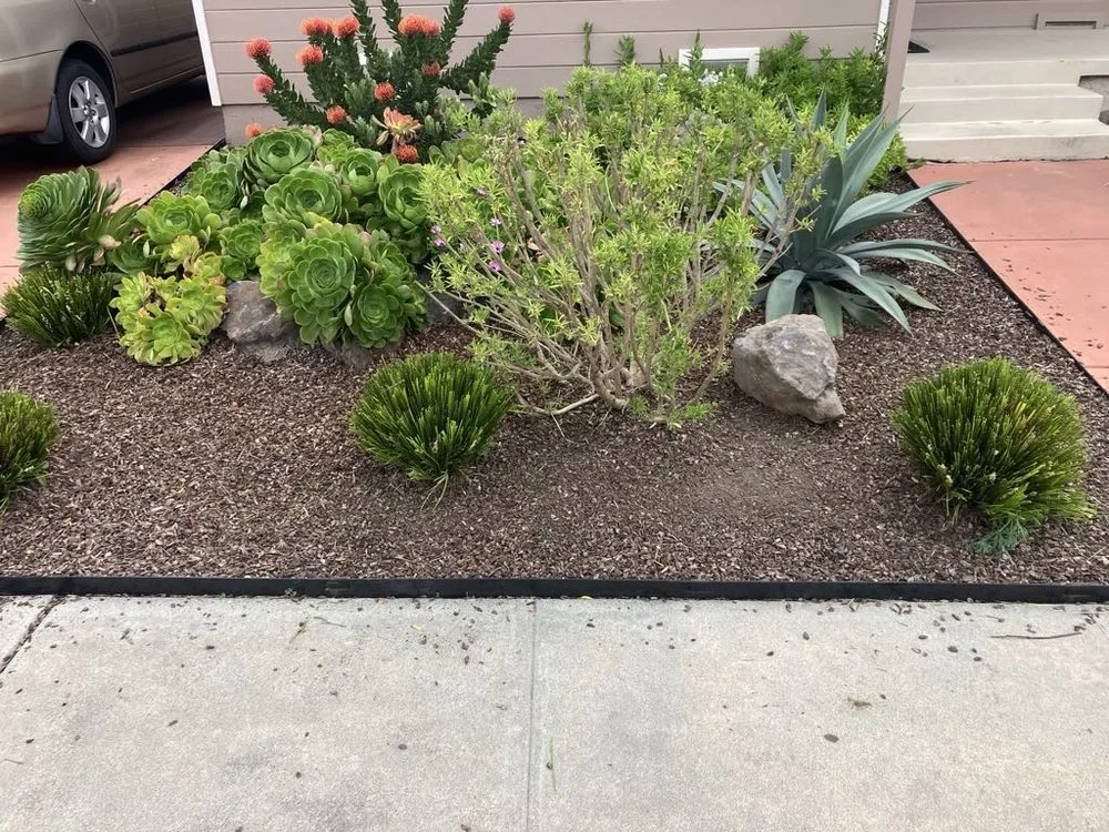 Professional landscape installation for beautiful yards in Watsonville, CA by Maya's Enterprises