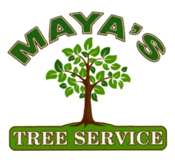 Affordable landscape installation in Carpinteria, CA by Maya's Tree Service