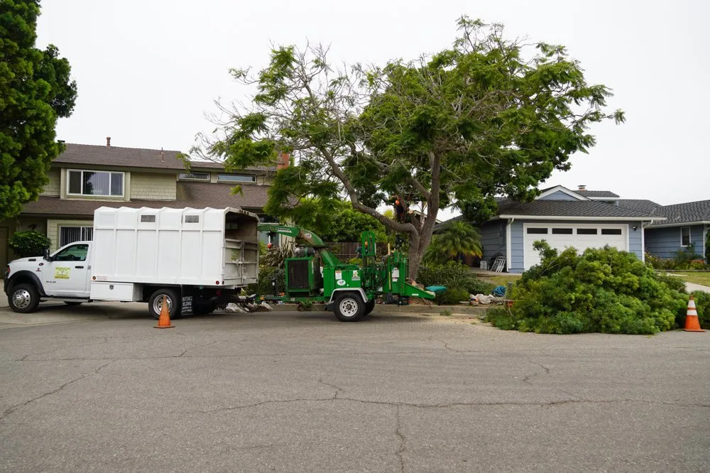 Affordable residential landscaping for outdoor upgrades in Carpinteria, CA by Maya's Tree Service