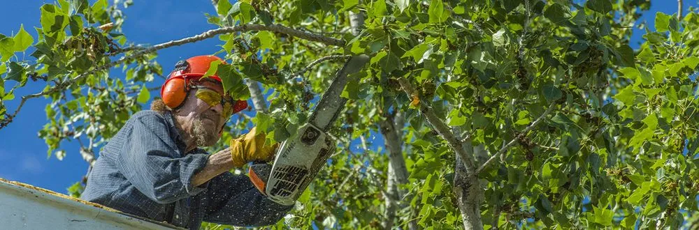 Local landscape installation in Lynn, MA by Maycols Landscape Services